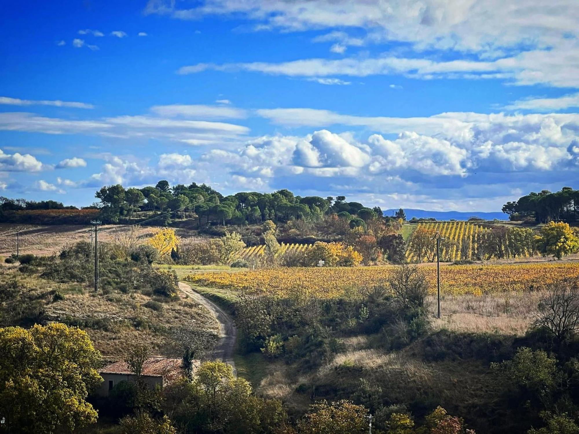 Logis Hotel Restaurant La Bergerie Aragon Kültér fotó